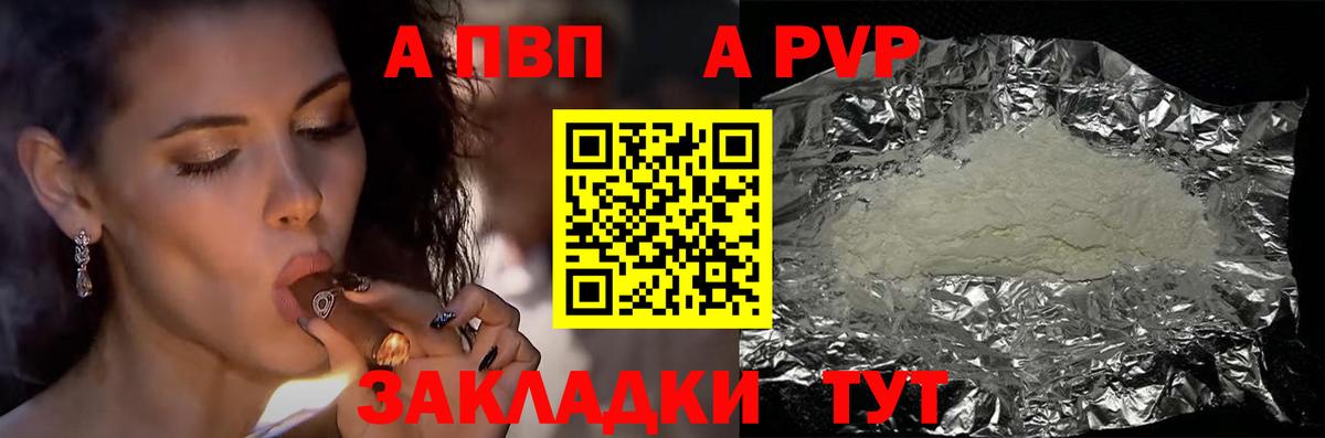 Alfa_PVP СК Нововоронеж