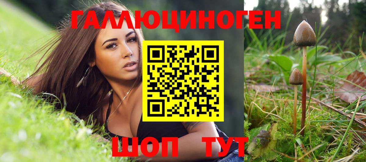 Галлюциногенные грибы Magic Shrooms Нововоронеж