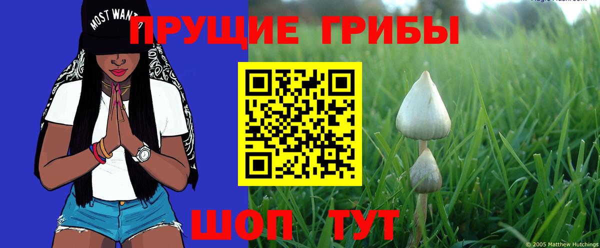 Галлюциногенные грибы Psilocybine cubensis  Вход с VPN  Нововоронеж 