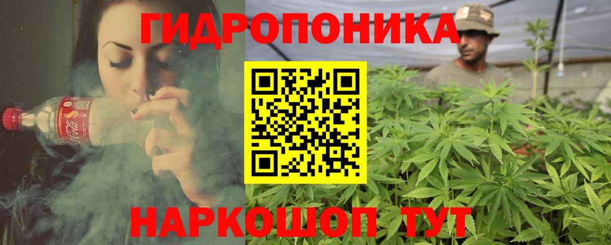 Марихуана LSD WEED  Шишки марихуана сатива  Вход с VPN  Нововоронеж  МАРИХУАНА сатива 